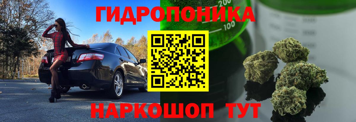 Бошки Шишки MAZAR Усть-Илимск